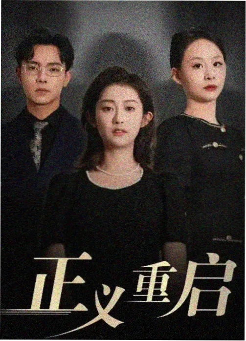 双面档案剧集海报