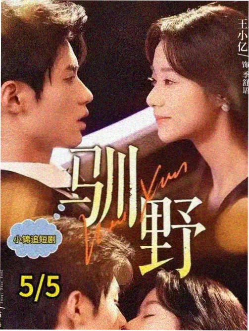 镜中人在逃剧集海报